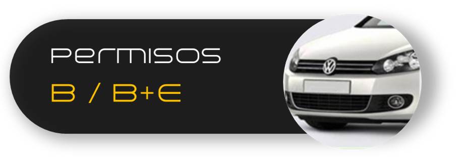 Carnet de coche Autoescuela Roda